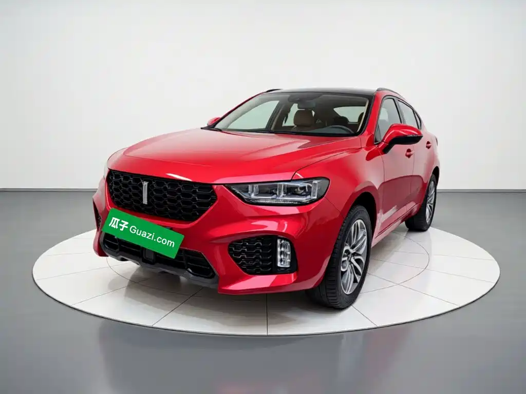 WEY VV5 2017 2017 2.0T Super Luxury Model