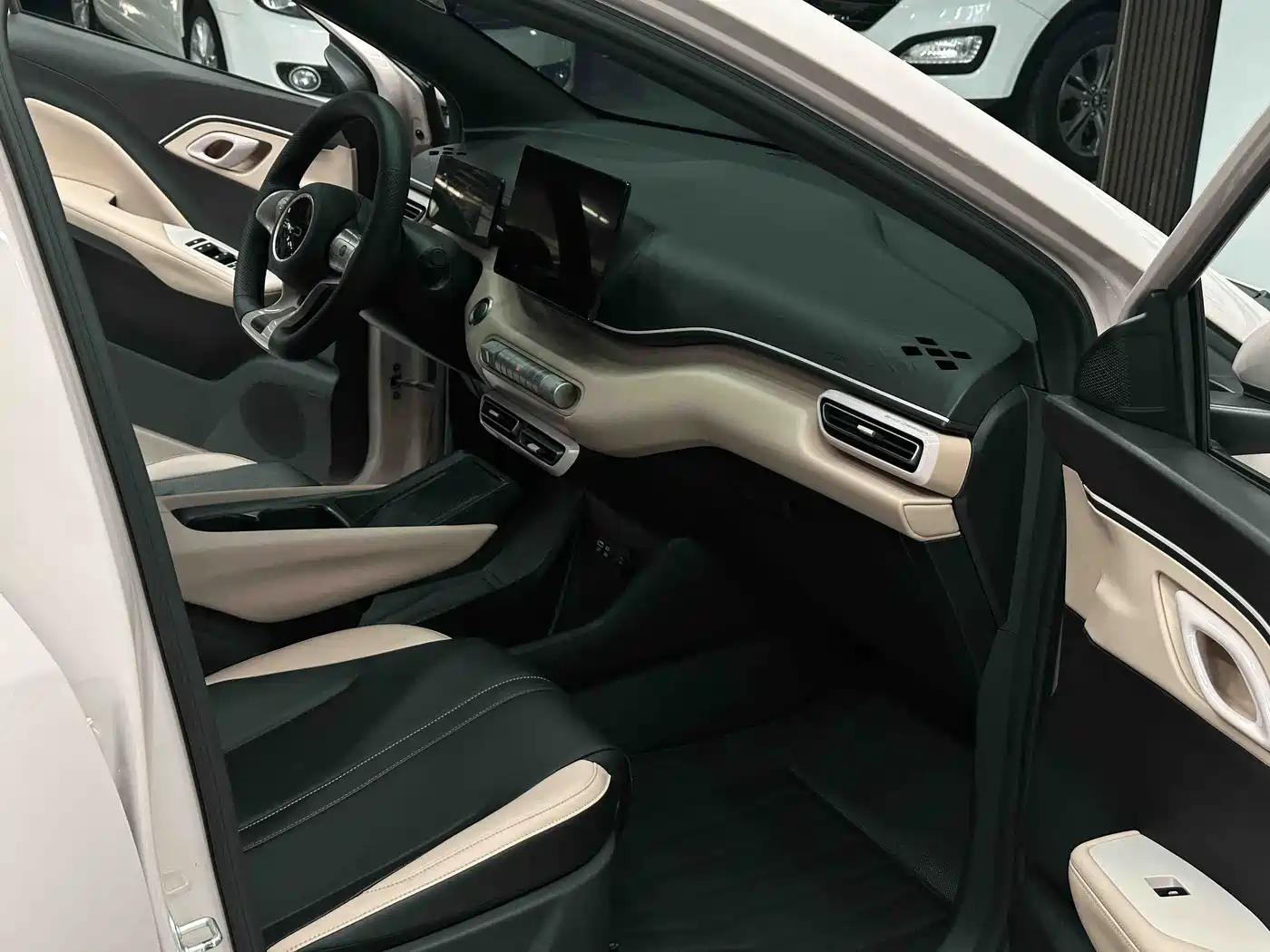 BYD Seagull 2023 Freedom Edition фото 9