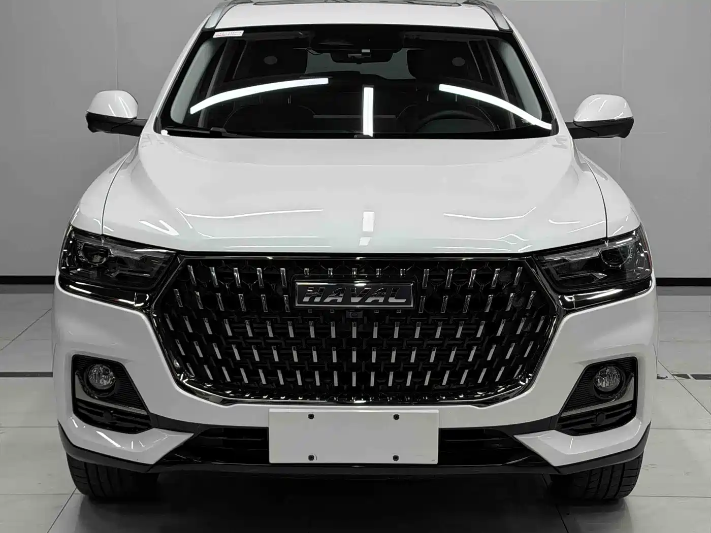 Haval H6 2023 National Trend Edition 1.5T Automatic Champion фото 2