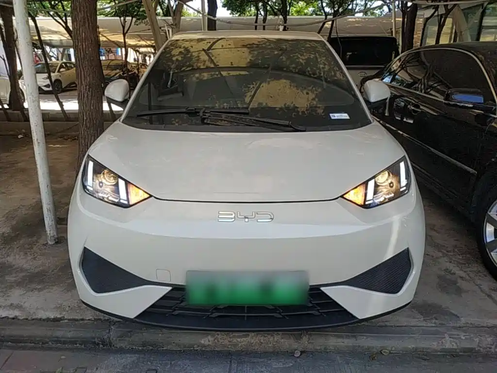 2026 BYD Seagull