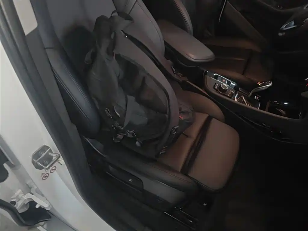 BMW X2 (Import) 2019 sDrive20i M Off-Road Package China VI фото 25