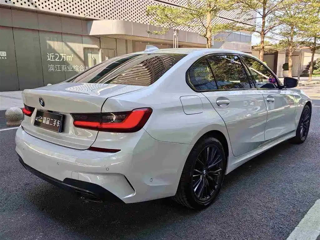 BMW 3 Series 2020 325Li M Sport Black Night Package фото 7
