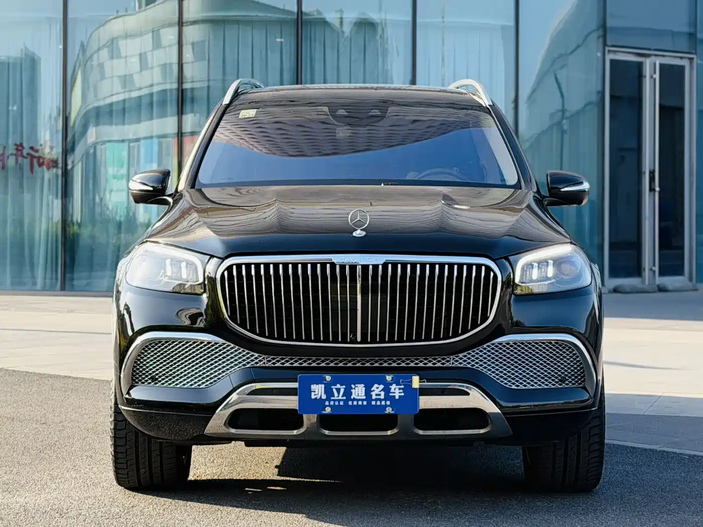 Mercedes-Benz Maybach GLS 2021 GLS 480 4MATIC фото 2