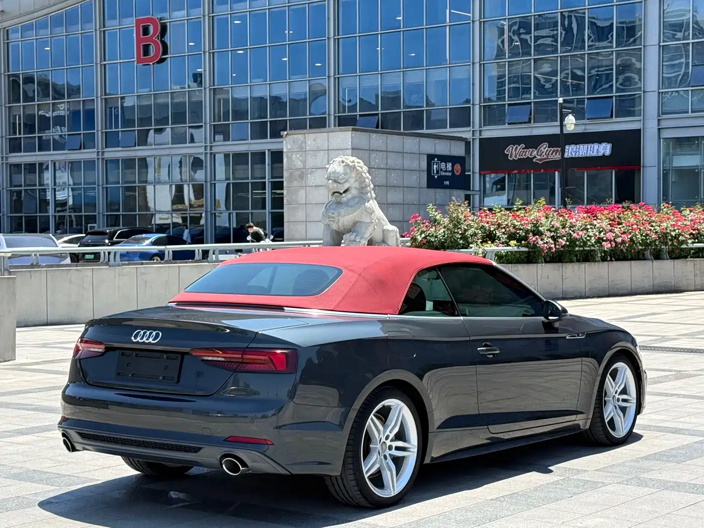 Audi A5 (Import) 2019 Cabriolet 40 TFSI Fashion (China V) фото 7