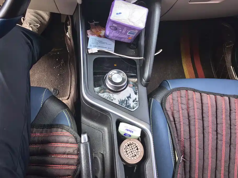 Geely Geometry EX3 Kung Fu Bull 2022 2021 Kung Fu Niu Niu