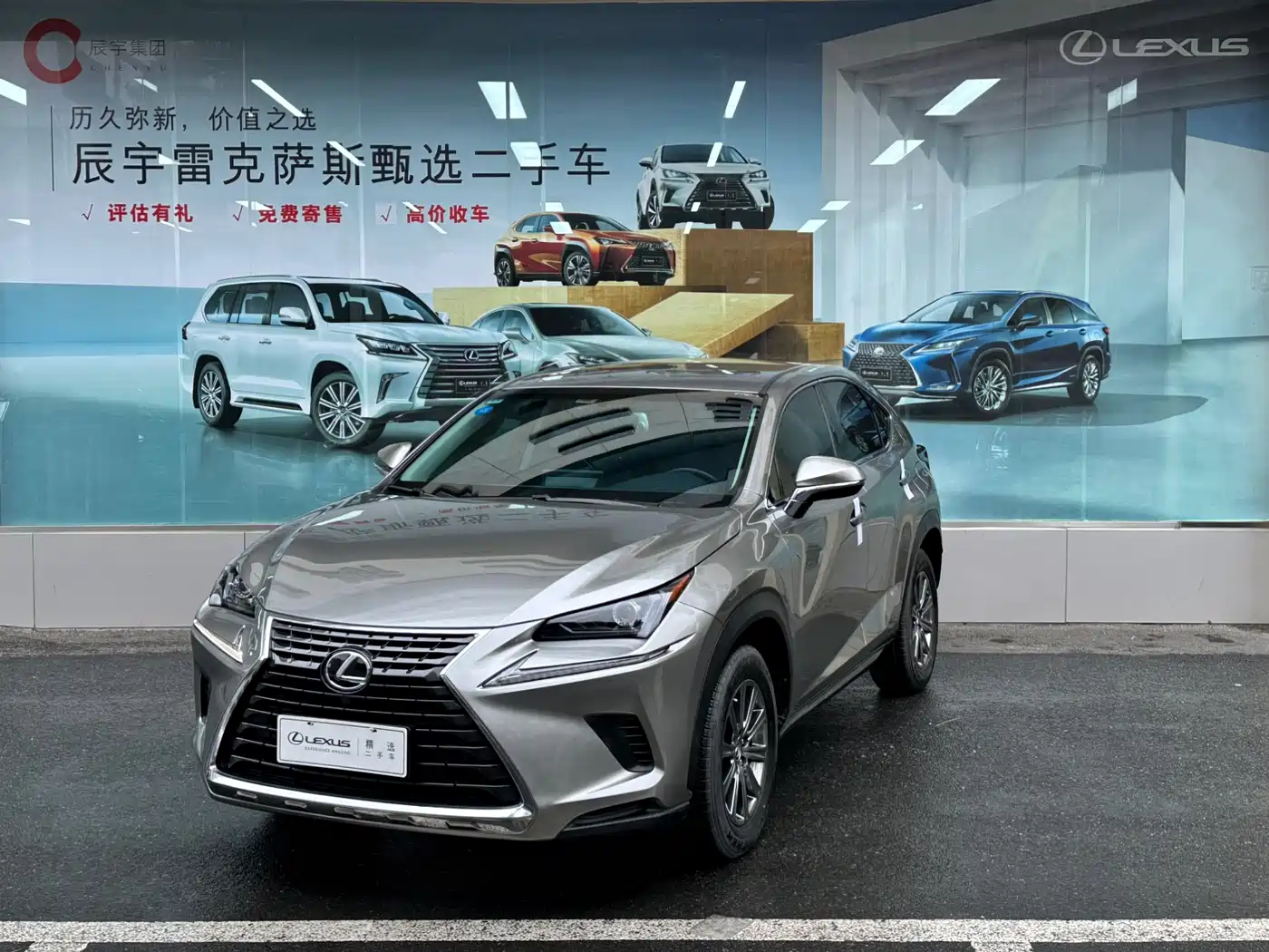 Lexus NX 2018 Model 300 FWD Fengxing Edition