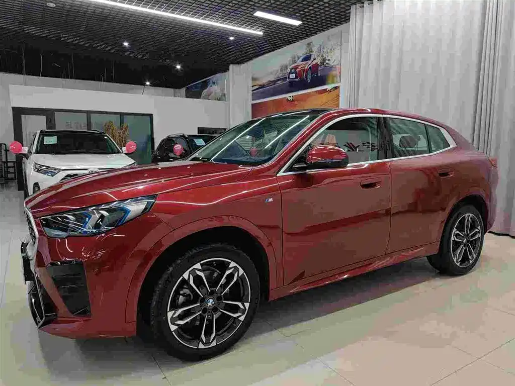 BMW X2 (Import) 2024 sDrive25i M Sport Package фото 3