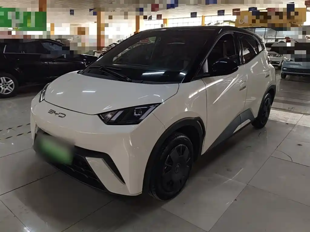 BYD Seagull 2023 Vitality Edition фото 2