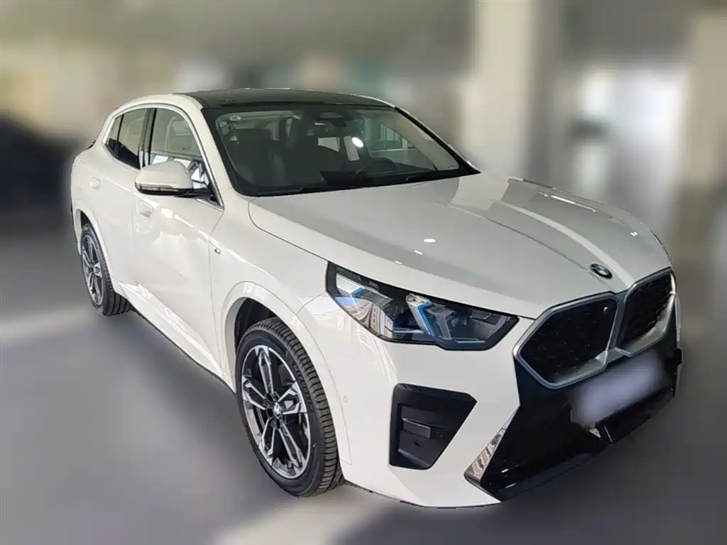 BMW X2 (Import) 2024 sDrive25i M Sport Package фото 7