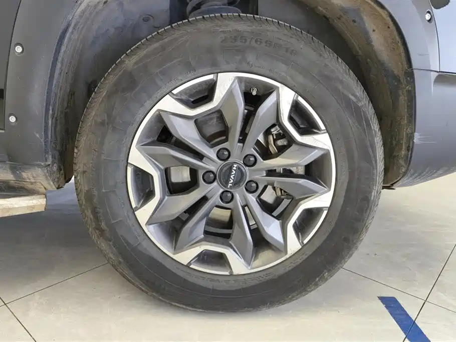 Haval Big Dog 2024 2.0T DCT Chinese Rural Dog Edition фото 6