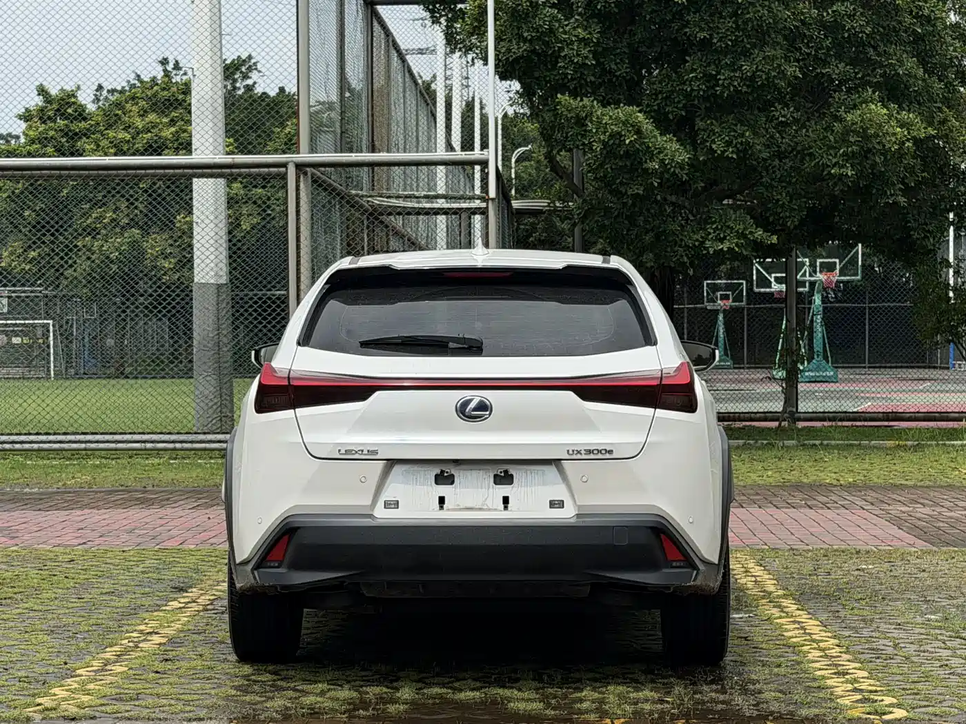 Lexus UX Electric 2023 2020 300e Pure Enjoyment Edition