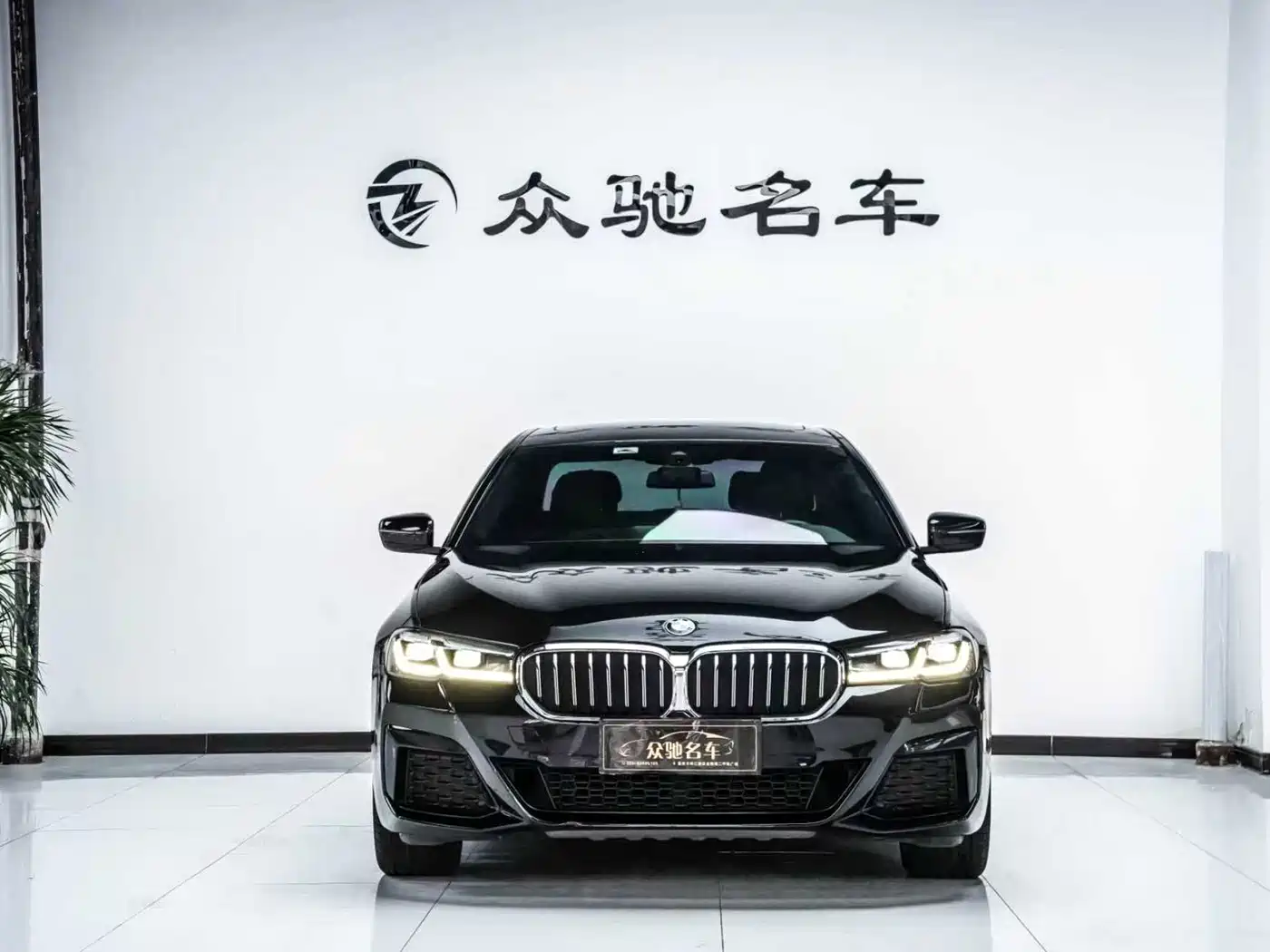 BMW 5 SERIES