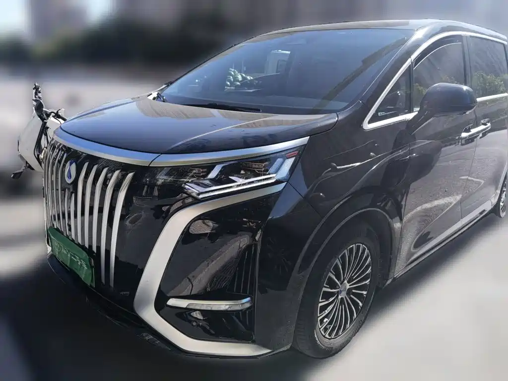 2026 Denza D9