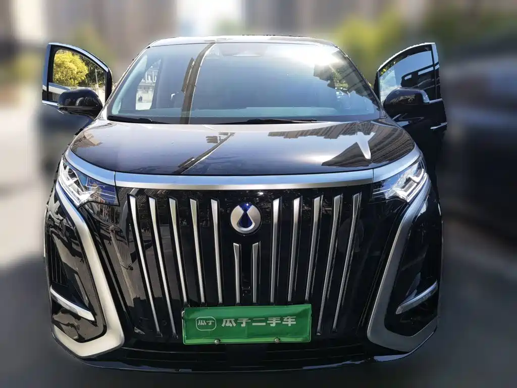 2026 Denza D9