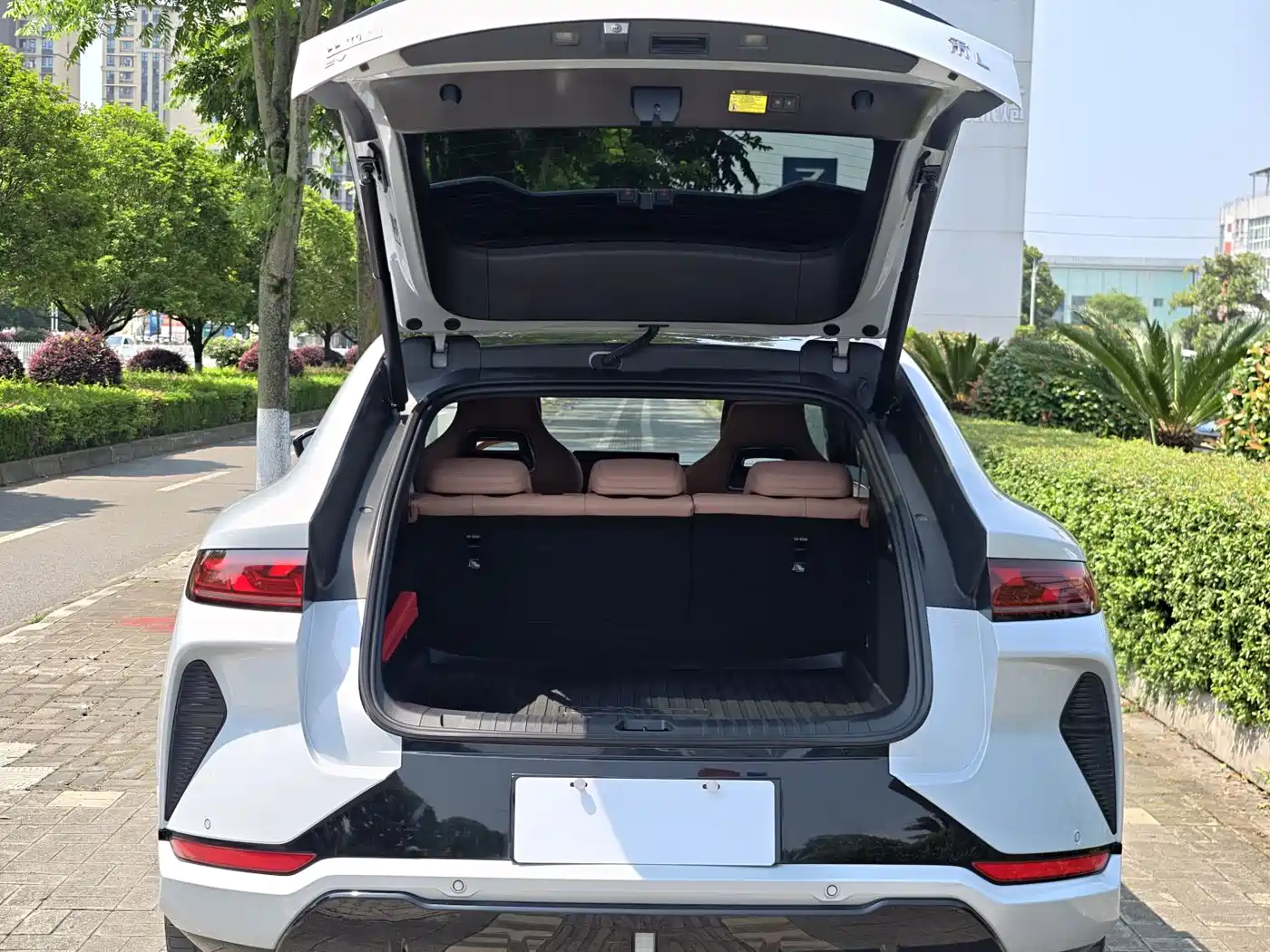 BYD Song L EV 2025 2025 Smart Drive Edition 662km Surpassing Type