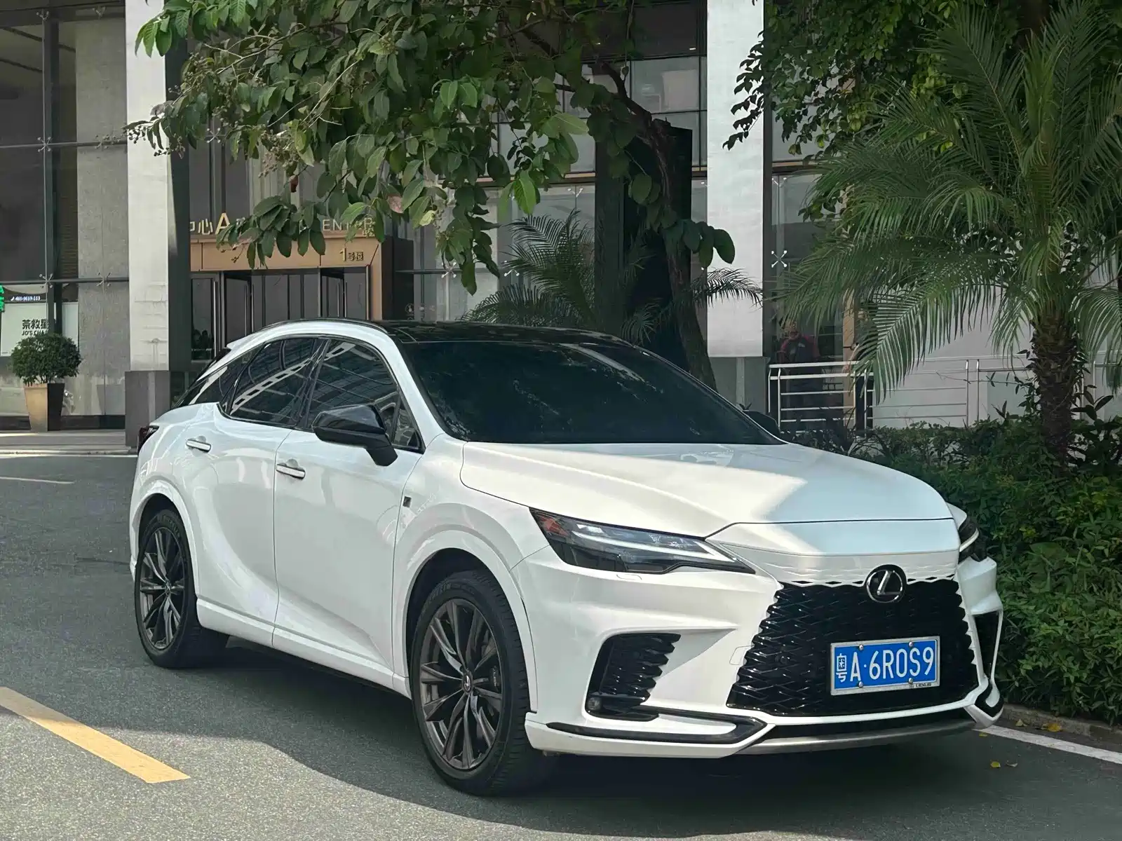Фото 29 - Lexus RX