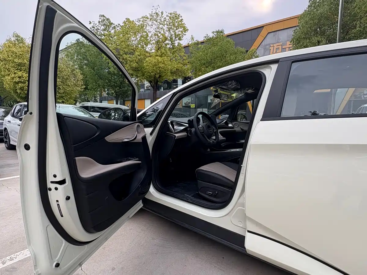 BYD Dolphin 2026 2025 420km Freedom Edition