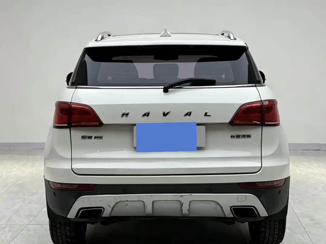 Haval H6 Coupe 2016 Blue Label 1.5T Automatic 2WD Elite фото 16