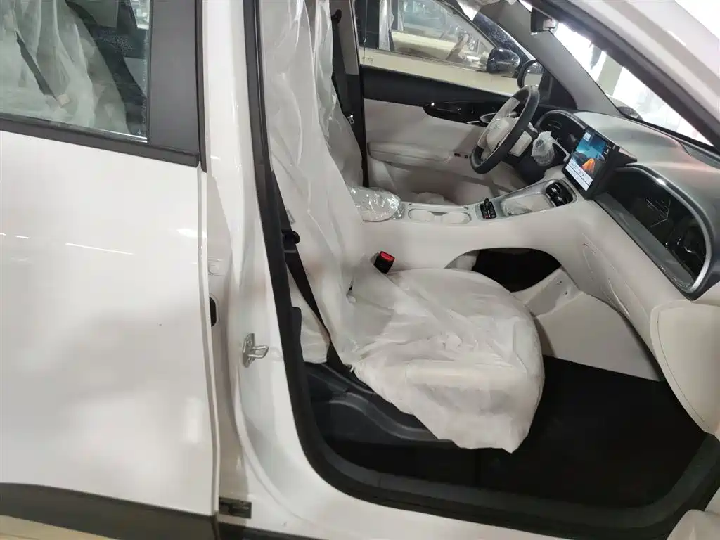Geely Galaxy Starry Wish 2026 2026 Edition 310km Youth Version