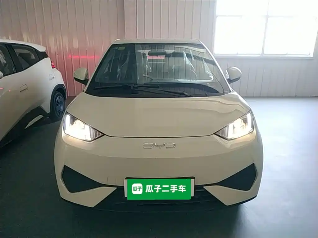 BYD Seagull 2026 2025 Smart Drive Edition 305km Vitality Version