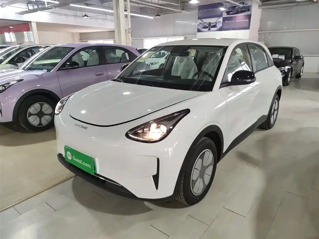 Geely Galaxy Starry Wish 2026 2026 Edition 310km Youth Version