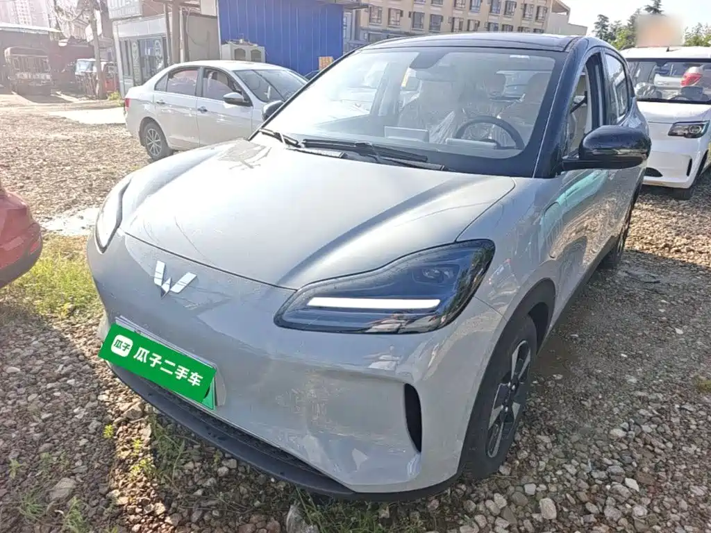 Wuling Motors Wuling Binguo PLUS 2026 2024 510km Range 5-seater