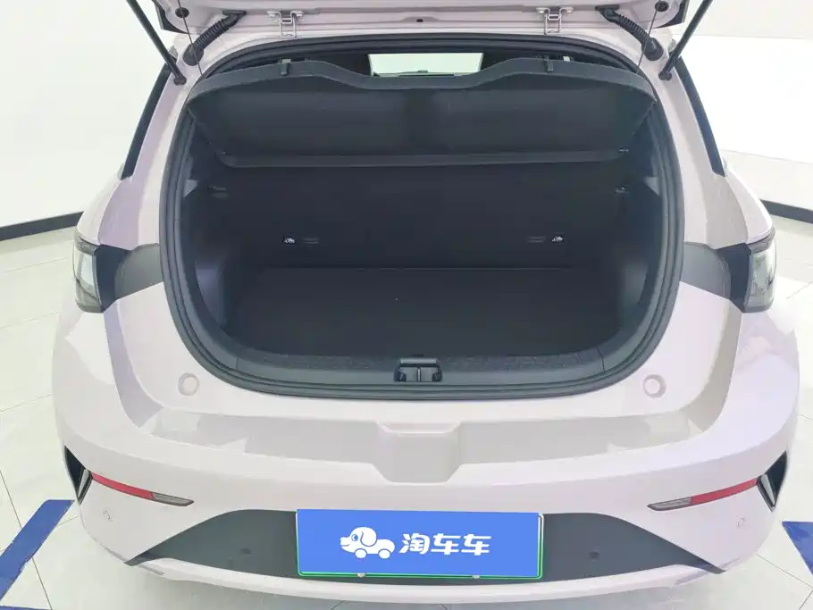Фото 4 - BYD Dolphin