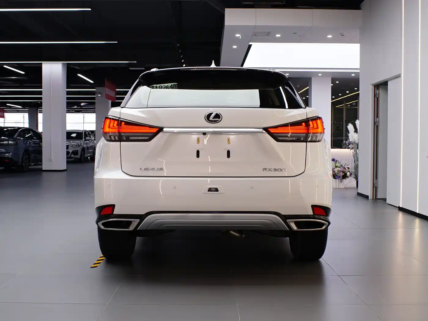 Lexus RX 2020 Facelift 300 2WD Comfort Edition фото 6
