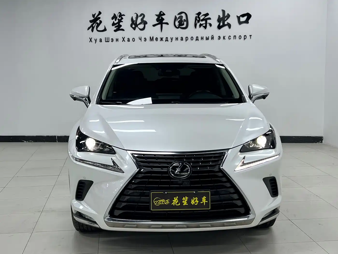 LEXUS NX