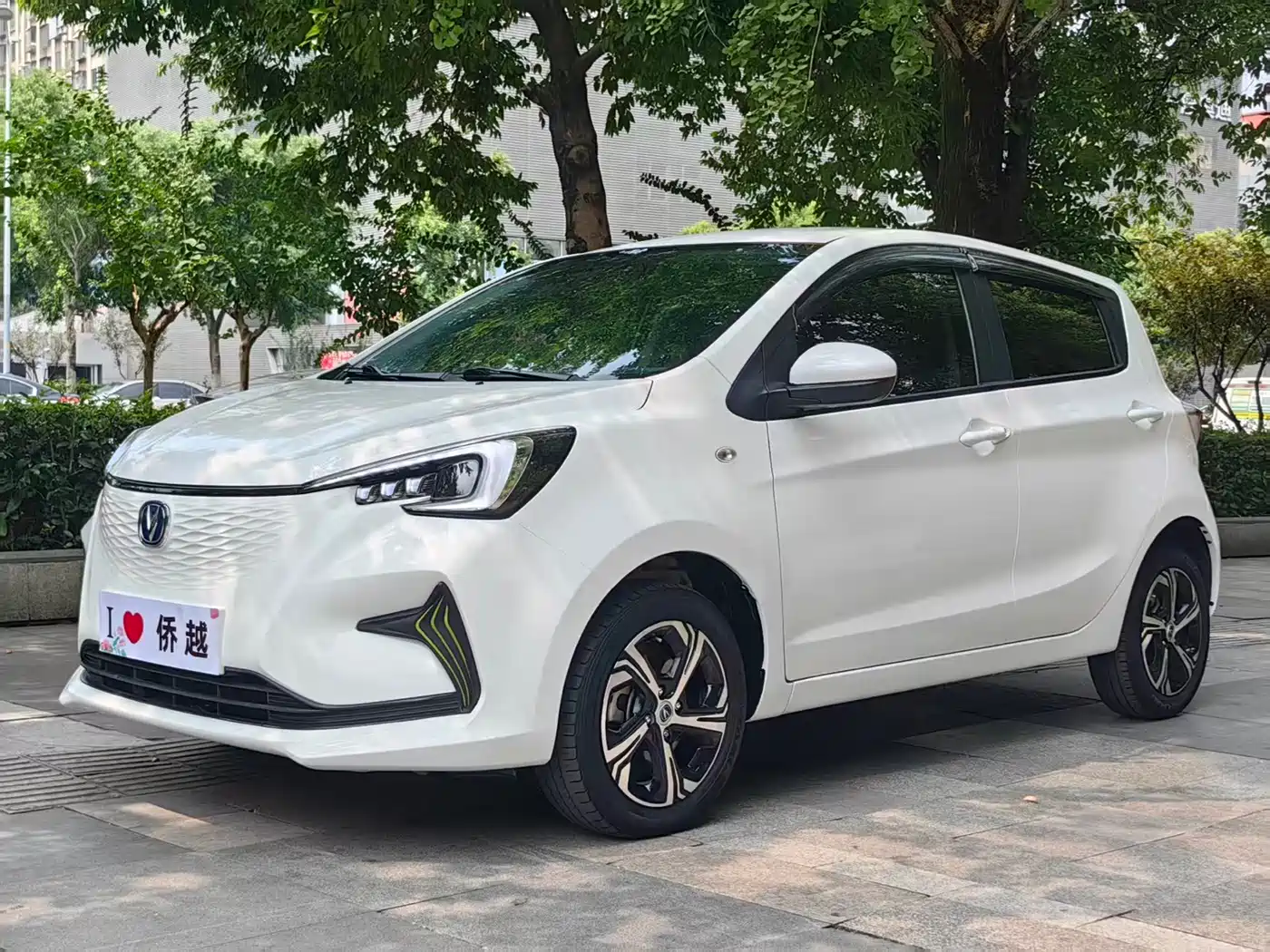 Changan Benben E-Star 2023 2023 Appreciation Edition Colorful Version (LFP)
