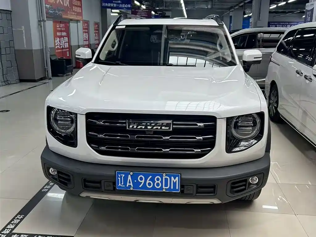 Haval Big Dog 2021 1.5T DCT 2WD Border Collie Edition фото 3