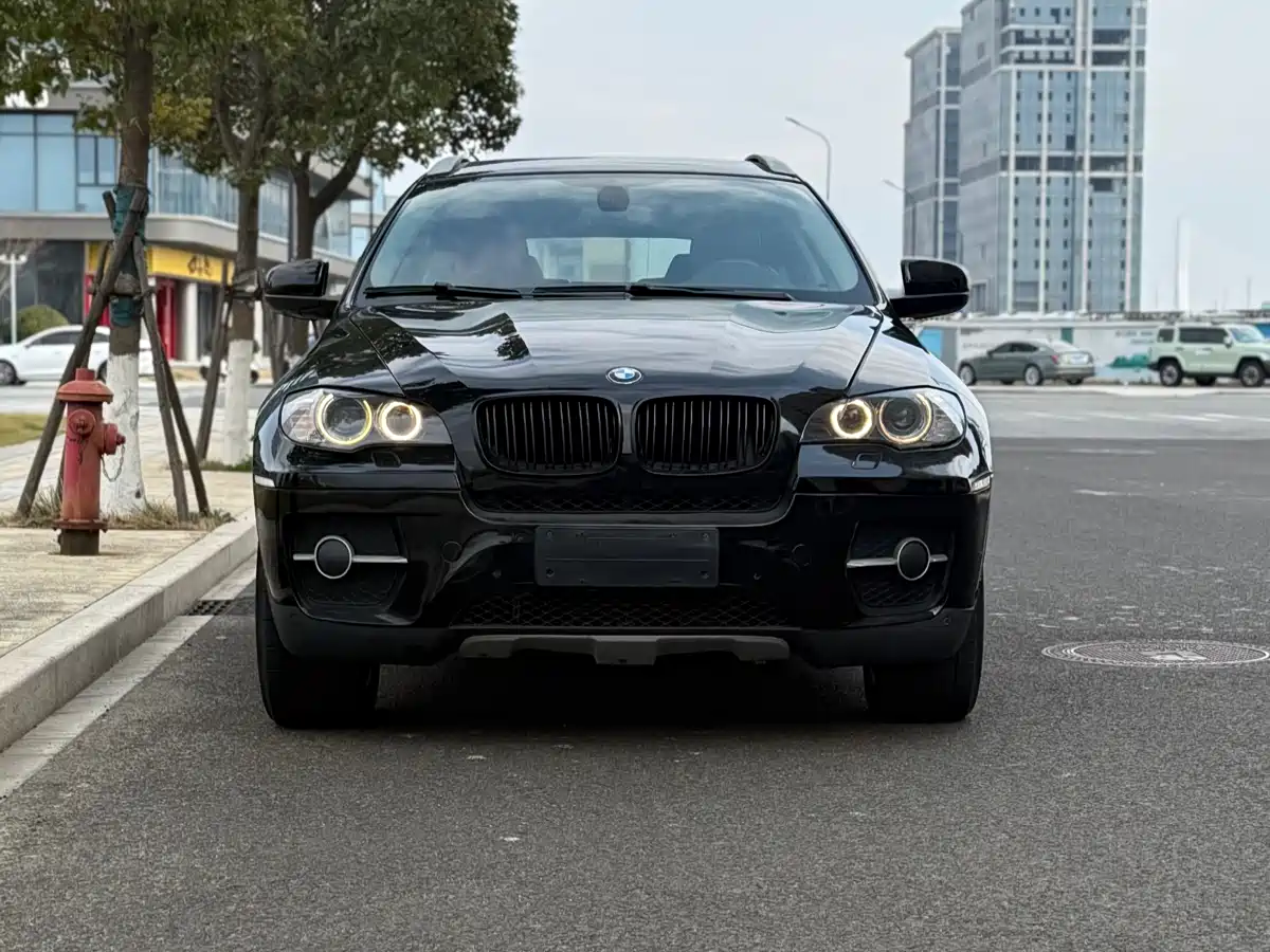 BMW X6 2011 xDrive35i фото 2