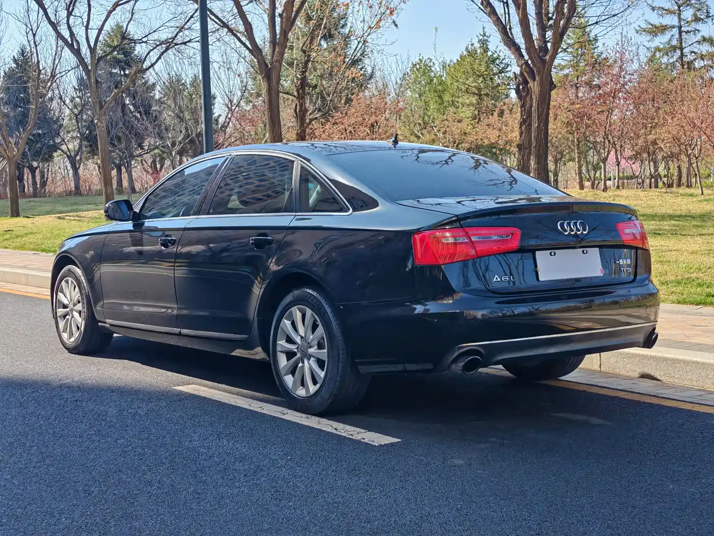 Audi A6L 2014 TFSI Standard фото 17