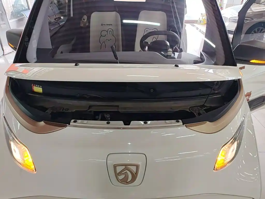 Baojun E200 2021 2020 305KM Smart Edition
