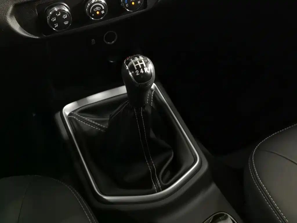 Dongfeng Ruiqi 2022 2021 2.4L Gasoline 2WD Well-off Edition Base Model 2TZD