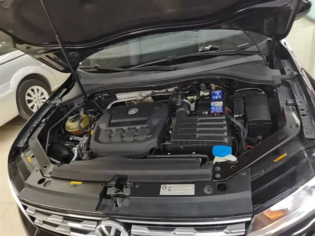 Volkswagen Tiguan L 2020 330TSI Auto 2WD Panorama Comfort China VI фото 20
