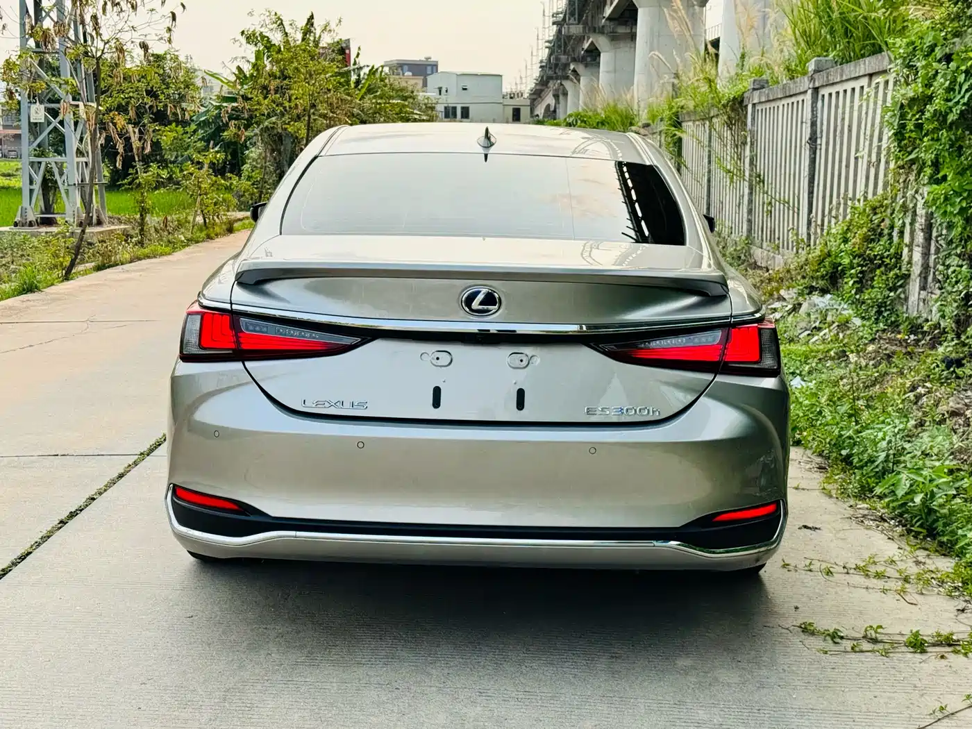 Lexus ES 2020 Model 300h Excellence Edition China V фото 15