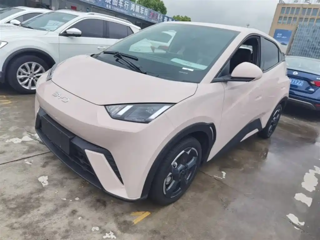 BYD Seagull 2024 Glory Edition 305km Freedom Edition