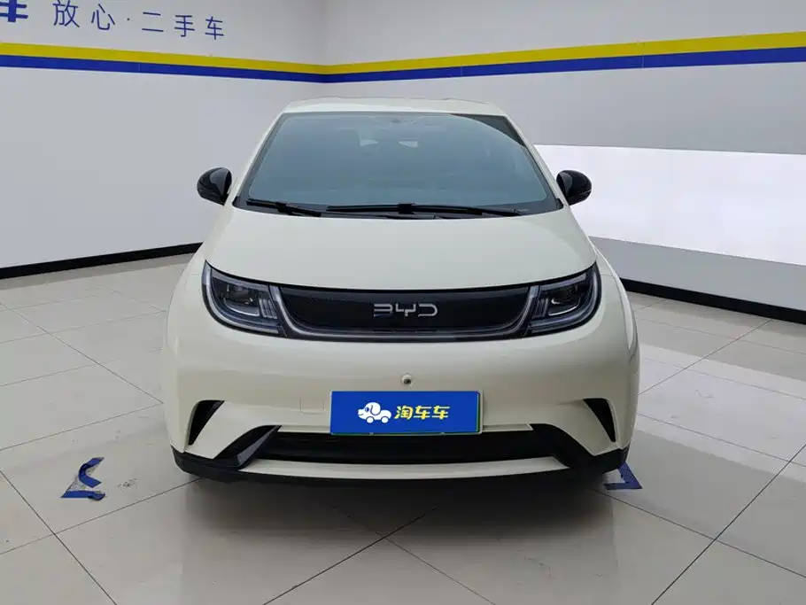 BYD Dolphin 2026 2025 420km Freedom Edition