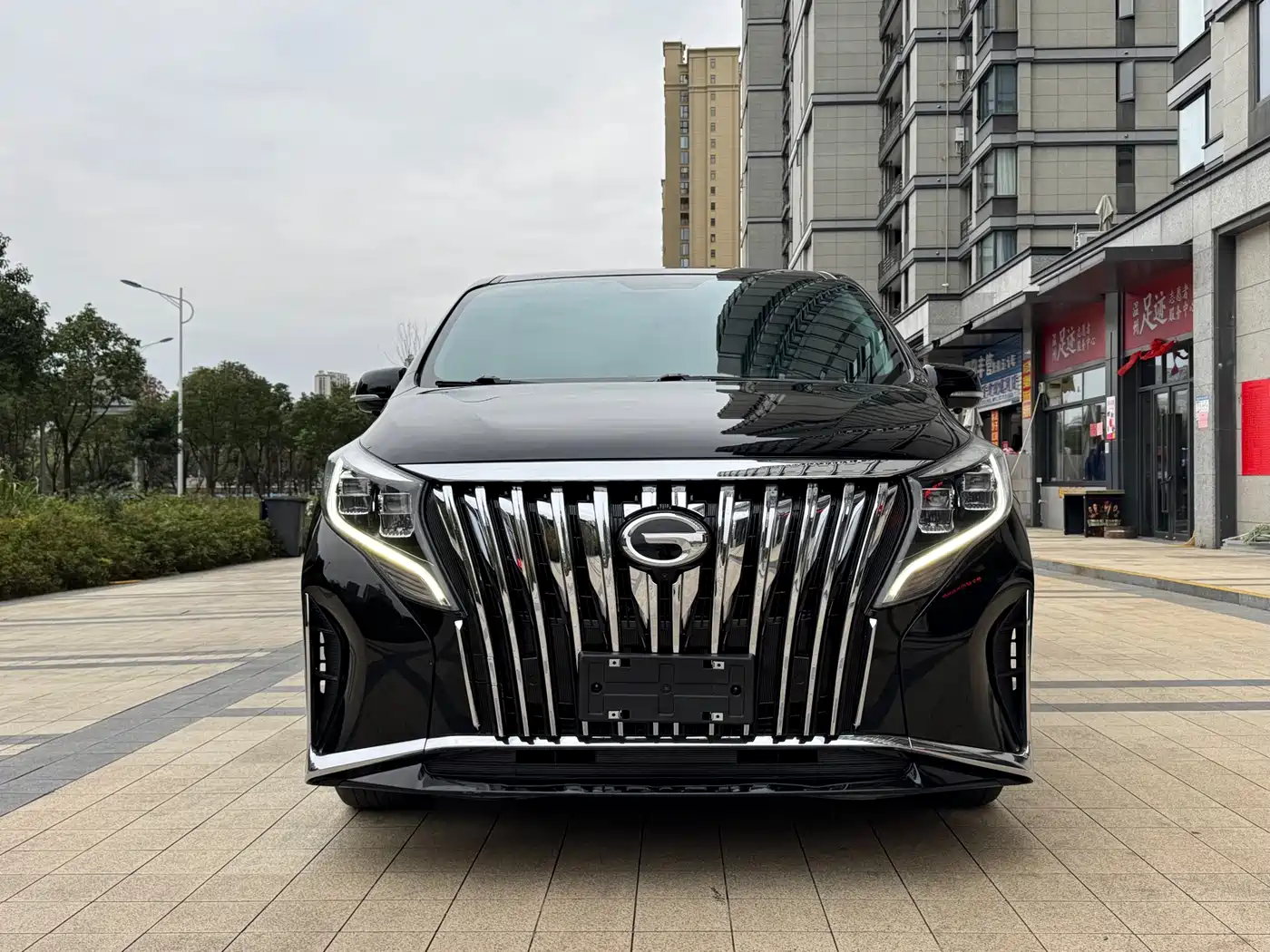 GAC Trumpchi Trumpchi M8 2018 320T Premium Edition фото 2