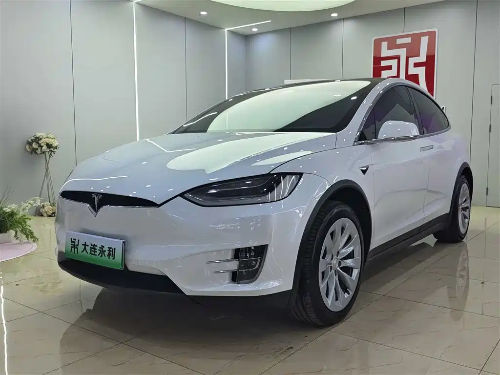 TESLA MODEL X 2020