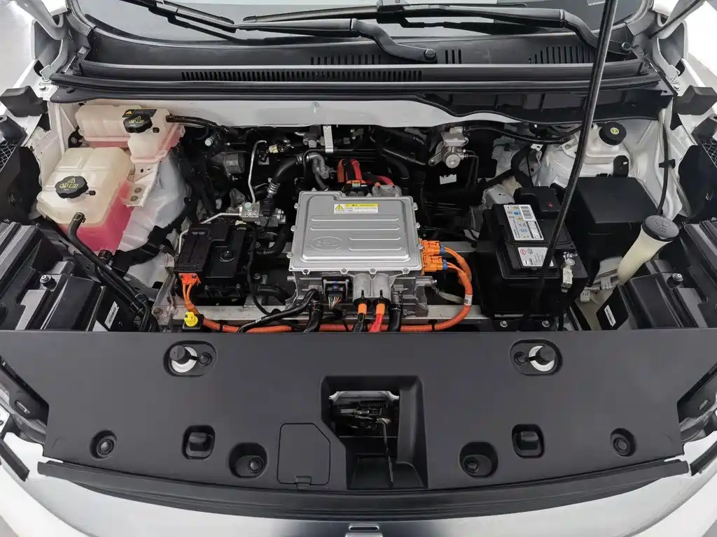 BYD Yuan Pro 2022 2021 401KM Premium Model