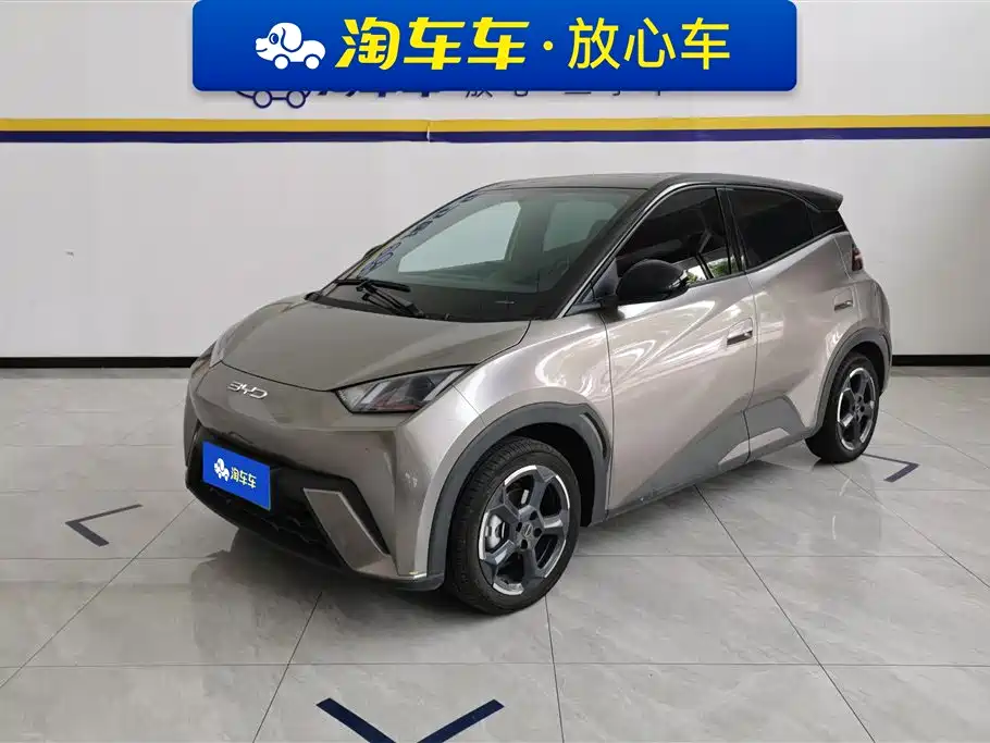 BYD Seagull 2023 Freedom Edition