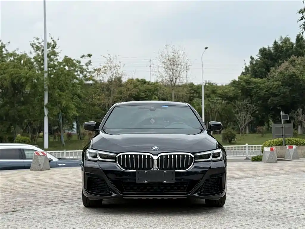 BMW 5 Series 2021 530Li Leading M Sport Package фото 2