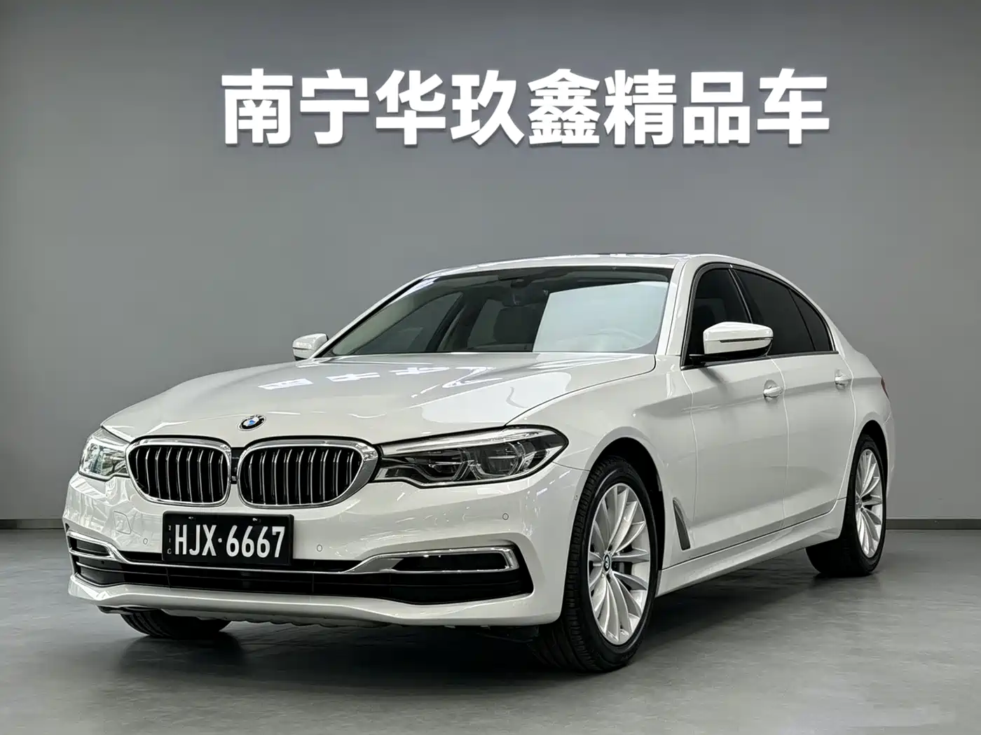 BMW 5 Series 2020 530Li Premium Luxury Package