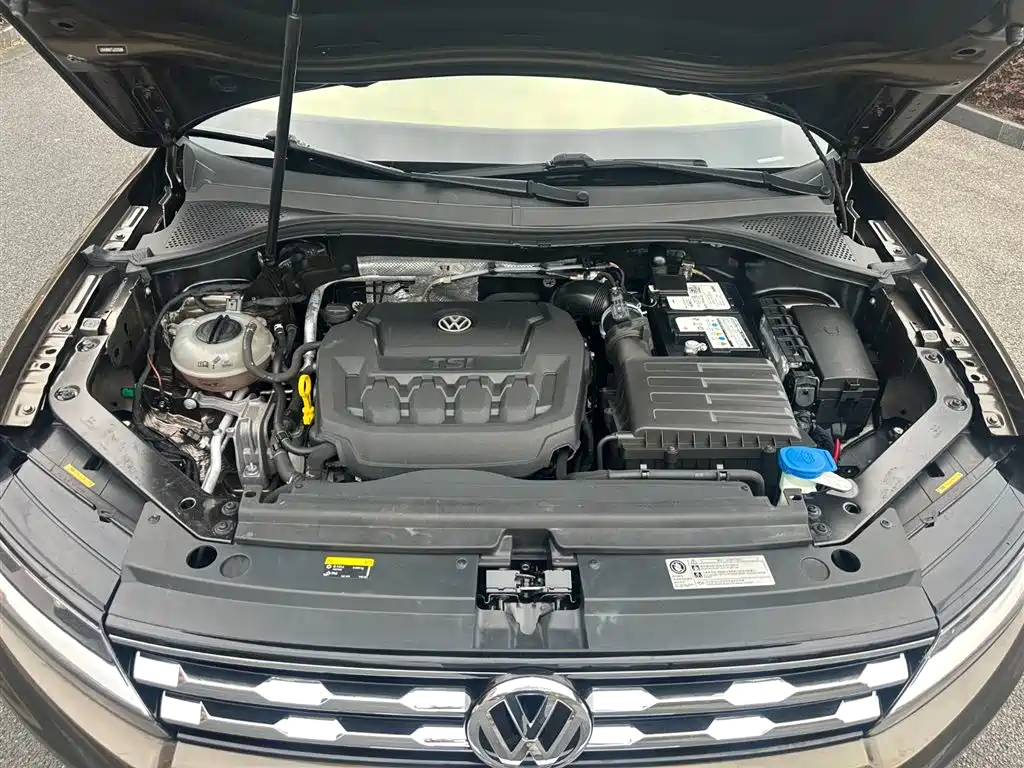 Volkswagen Tiguan L 2019 330TSI Automatic 2WD Smart Luxury Edition China VI фото 19