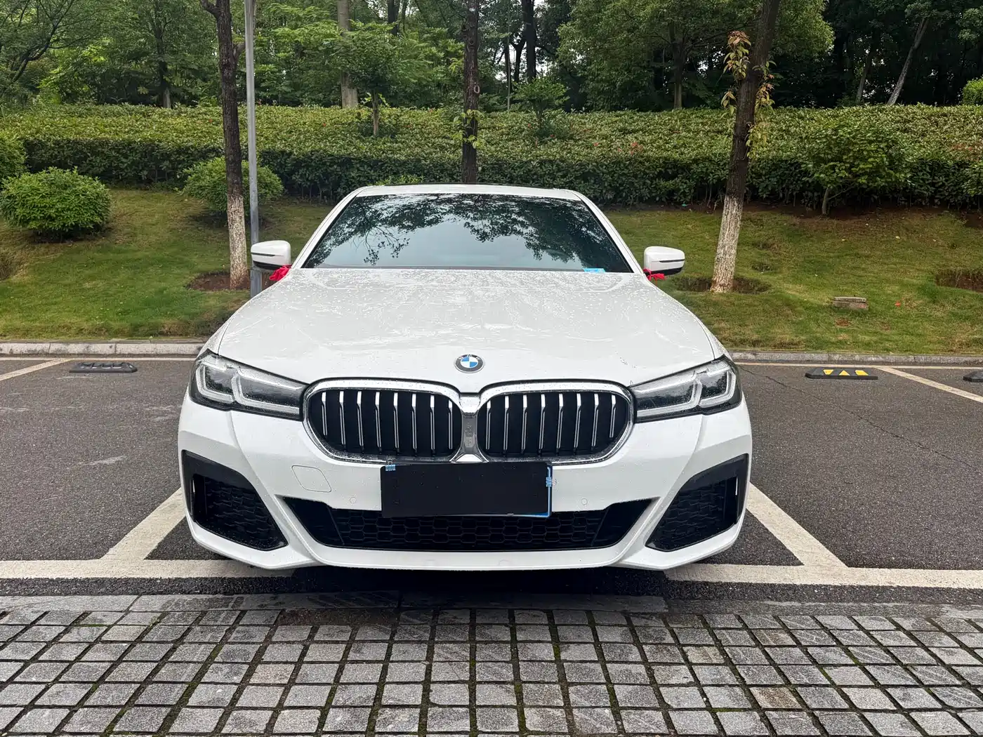 BMW 5 Series 2023 530Li Leading M Sport Package