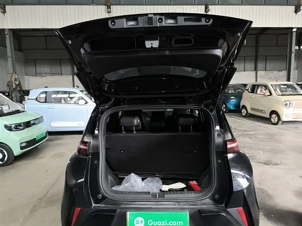 BYD Seagull 2025 Smart Drive Edition 305km Vitality Version фото 19