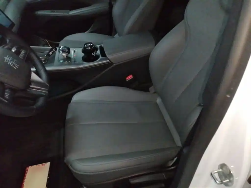 BYD Qin PLUS 2025 DM-i Smart Drive 55KM Leader фото 15