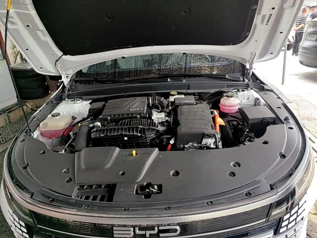 BYD Destroyer 05 2025 2024 Glory Edition DM-i 55KM Luxury